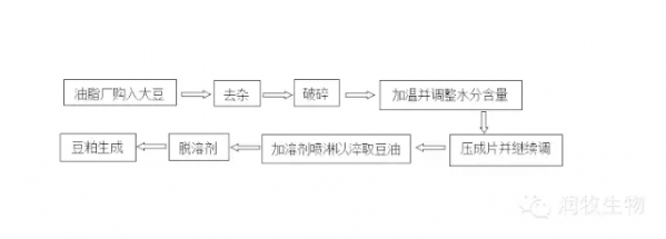 豆1.webp.jpg