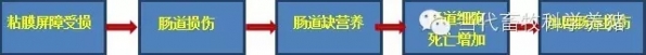 腸1.webp.jpg