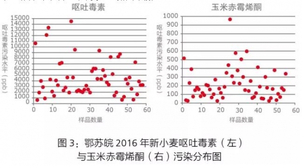 百5.jpg