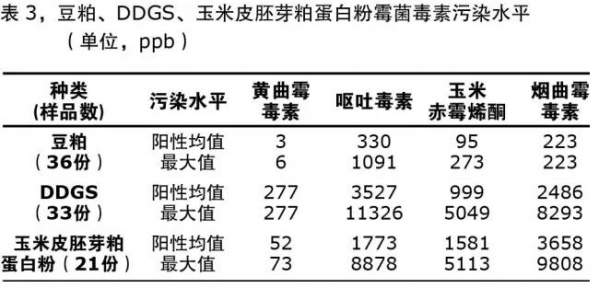 百9.jpg