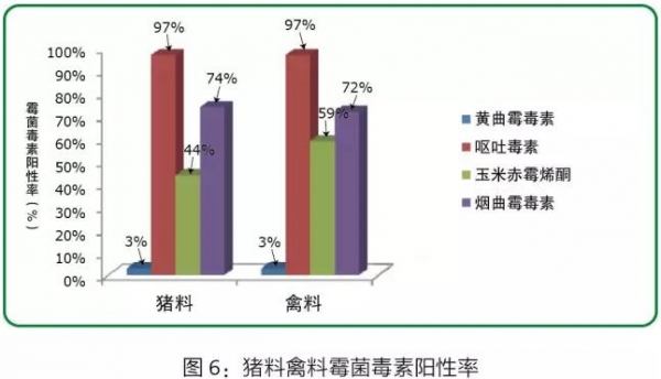 百11.jpg