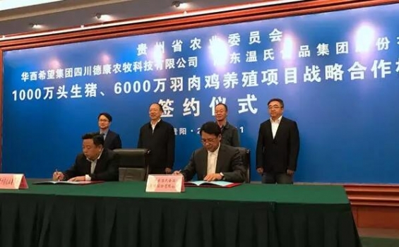 華西希望集團(tuán)、溫氏集團(tuán)與貴州簽約1000萬頭肉豬6000萬羽肉雞養(yǎng)殖項(xiàng)目