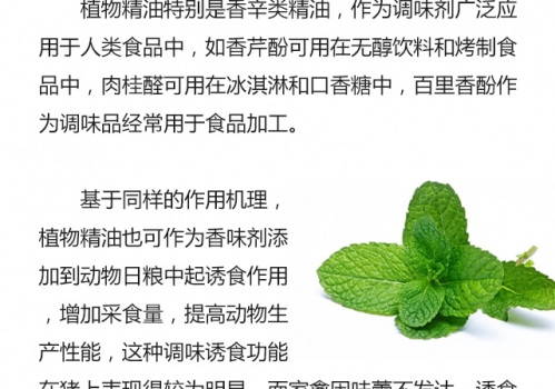 植物精油的生物學(xué)功能0719_09.jpg