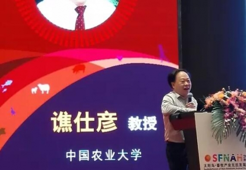 譙仕彥：豬功能性氨基酸營養(yǎng)研究進展