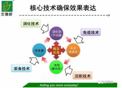 飼料品質(zhì)提升的“八度管理”經(jīng)驗與關(guān)鍵點淺析