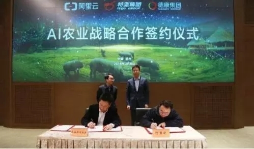 阿里云ET大腦養(yǎng)豬、京東跑步雞，電商巨頭進軍養(yǎng)殖業(yè)，會掀起怎樣的波瀾？