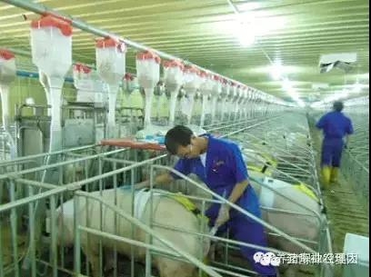必修課 | 均衡生產(chǎn)與全進全出技術(shù)的應用