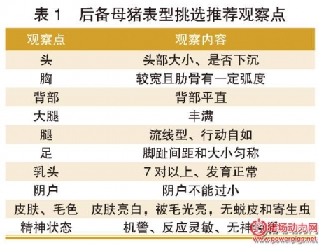 后備母豬的引種、馴化、飼養(yǎng)、營養(yǎng)