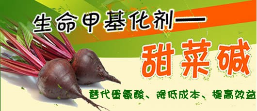甜菜堿