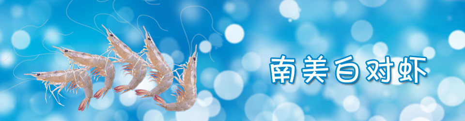 南美白對(duì)蝦