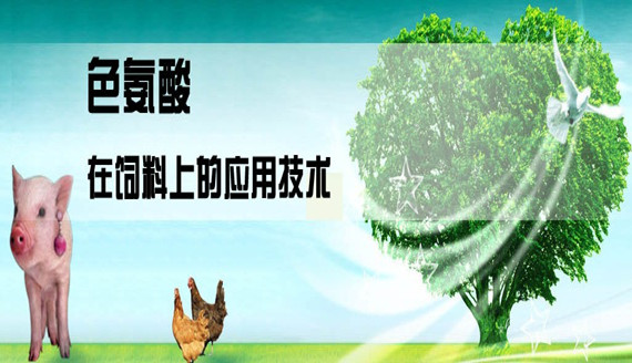 色氨酸在飼料上的應(yīng)用技術(shù)