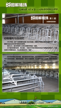 【京鵬環(huán)宇畜牧】圖解豬場第1期：動(dòng)物福利與自閉欄