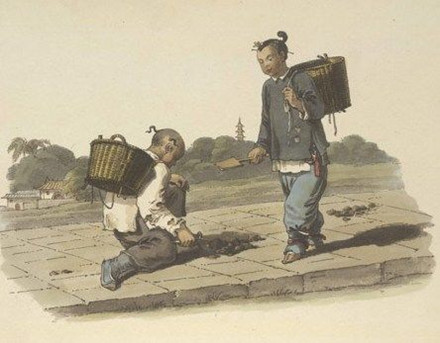 五糧肽---養(yǎng)豬低排的好幫手！