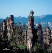 4月6日國內(nèi)維生素B：價格平穩(wěn)