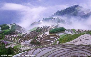 機(jī)構(gòu)預(yù)計(jì)海大一季度飼料銷量增長約24%